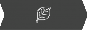 ESG Leadership